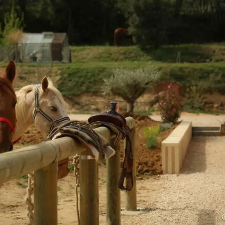 Vano Stables Goudargues