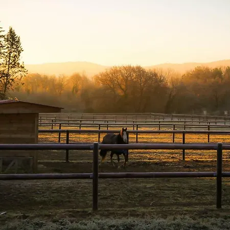 Vano Stables