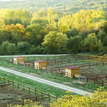 Vano Stables Goudargues