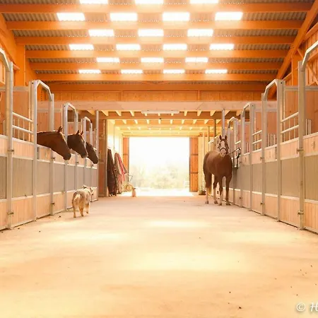 Vano Stables Сasa de vacaciones Goudargues