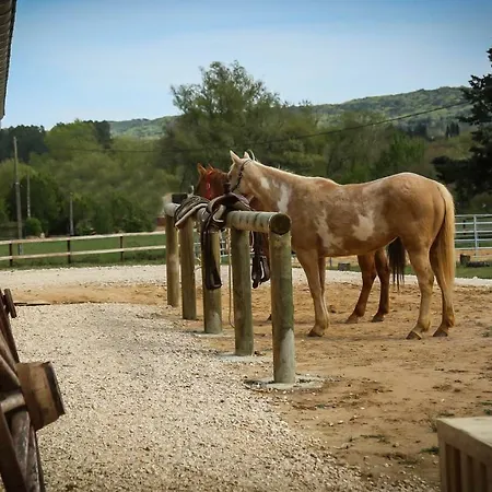 Сasa de vacaciones Vano Stables Goudargues